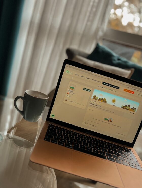 Planter un arbre avec Treedom ( et lutter contre la déforestation de chez soi ) ! - Virginie Hilssone